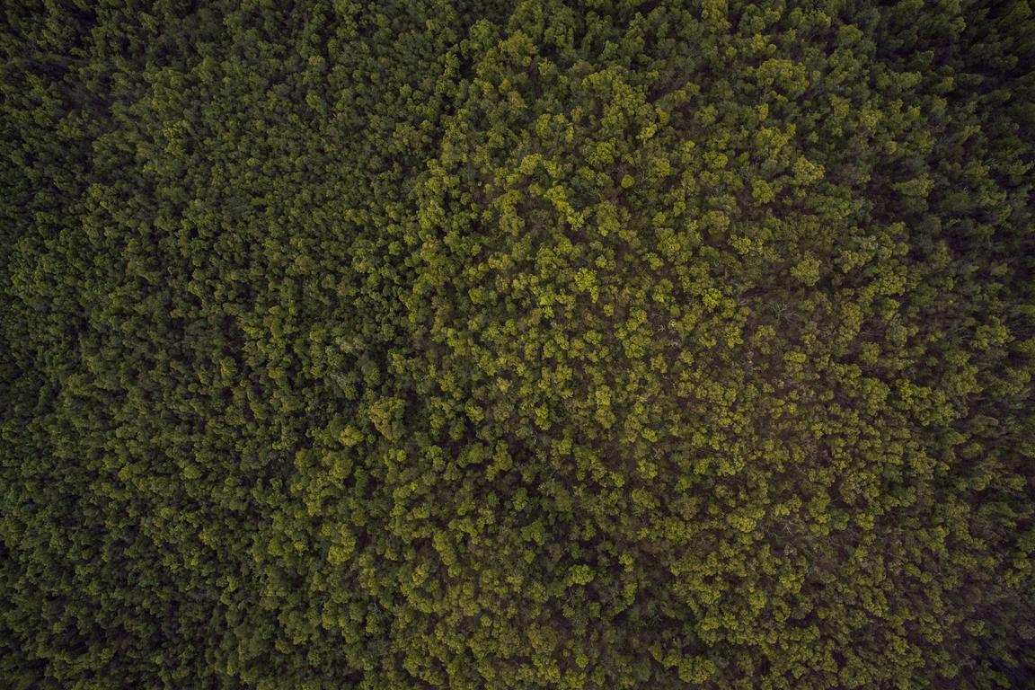Et laudantium eum a molestiae doloremque